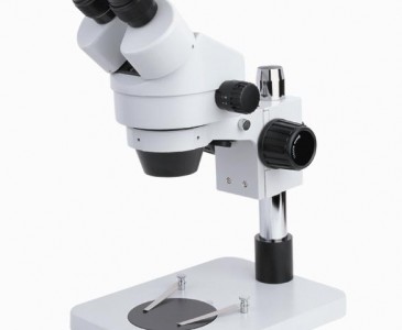 Stereo Zoom Microscope